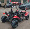 Minibuggy
