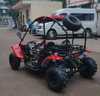 Minibuggy