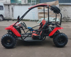 Minibuggy
